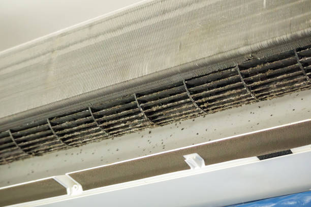 Best Ventilation Cleaning Services  in Farmersville, OH