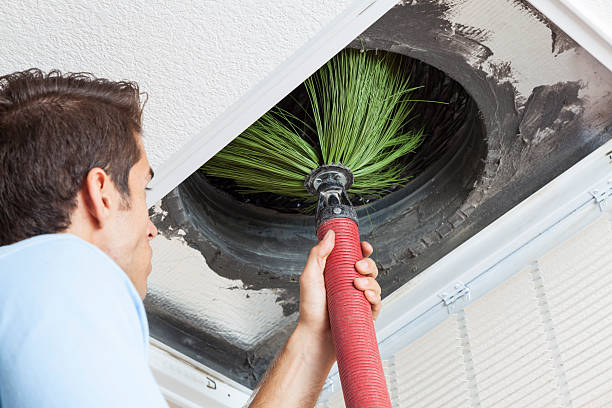 Best Air Duct Mold Removal  in Farmersville, OH